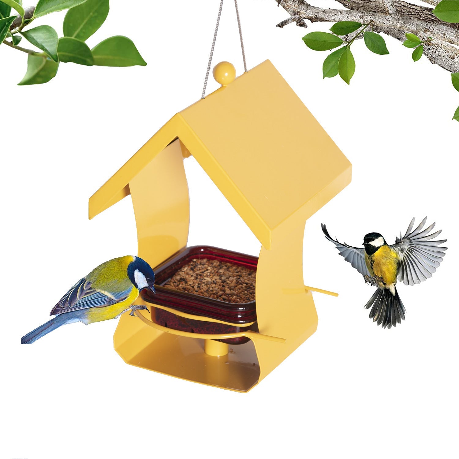 Transform Your Garden with Our Stunning Outdoor Hanging Metal Bird Feeder